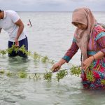 Indonesia climate court switzerland